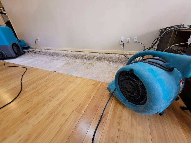 Reliable Basement Flood Cleanup contractor in Raleigh, NC by Hirex Water Damage