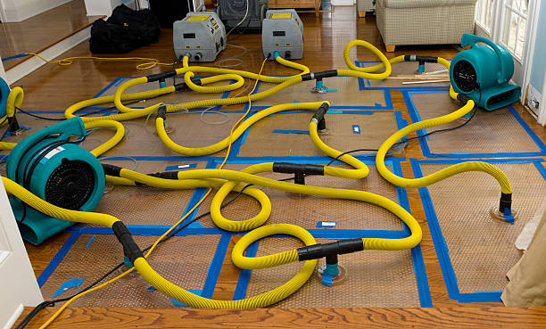 Professional Basement Flood Cleanup technician working in Raleigh, NC